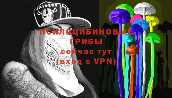 МДМА Богданович