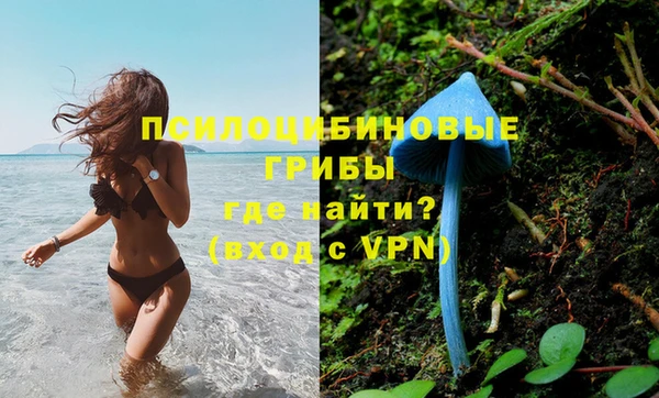 МДМА Богданович