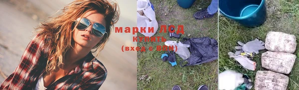стафф Бородино