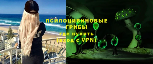 стафф Бородино